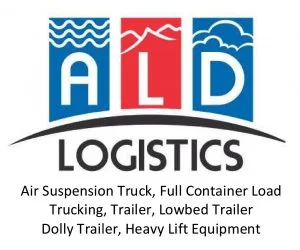 Logo Footer